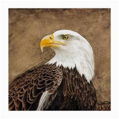 Eagle Glasses Cloth (medium, Two Sided) by TonyaButcher