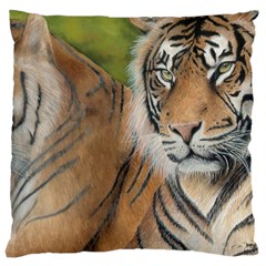 Soft Protection Large Cushion Case (single Sided)  by TonyaButcher