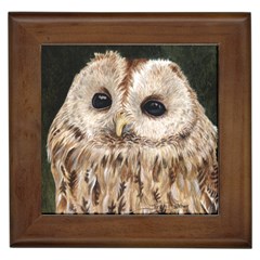 Tawny Owl Framed Ceramic Tile by TonyaButcher