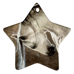 Humble Star Ornament (two Sides) by TonyaButcher