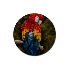 Preening Drink Coasters 4 Pack (round) by TonyaButcher