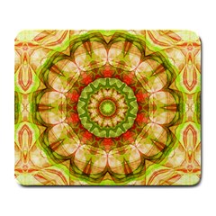 Red Green Apples Mandala Large Mouse Pad (rectangle) by Zandiepants