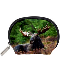 Majestic Moose Accessories Pouch (small) by StuffOrSomething