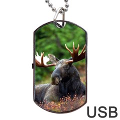 Majestic Moose Dog Tag Usb Flash (two Sides) by StuffOrSomething