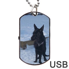 Snowy Gsd Dog Tag Usb Flash (two Sides) by StuffOrSomething