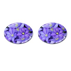 Purple Wildflowers For Fms Cufflinks (oval) by FunWithFibro