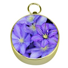 Purple Wildflowers For Fms Gold Compass by FunWithFibro