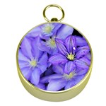 Purple Wildflowers For Fms Gold Compass Front