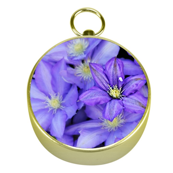 Purple Wildflowers For Fms Gold Compass