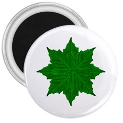 Decorative Ornament Isolated Plants 3  Button Magnet by dflcprints