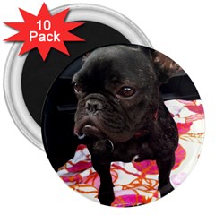 French Bulldog Sitting 3  Button Magnet (10 Pack) by StuffOrSomething