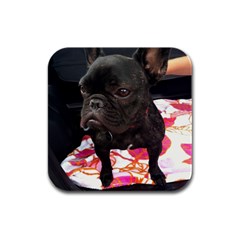 French Bulldog Sitting Drink Coasters 4 Pack (square) by StuffOrSomething