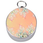 Peach Spring Frost On Flowers Fractal Silver Compass Front