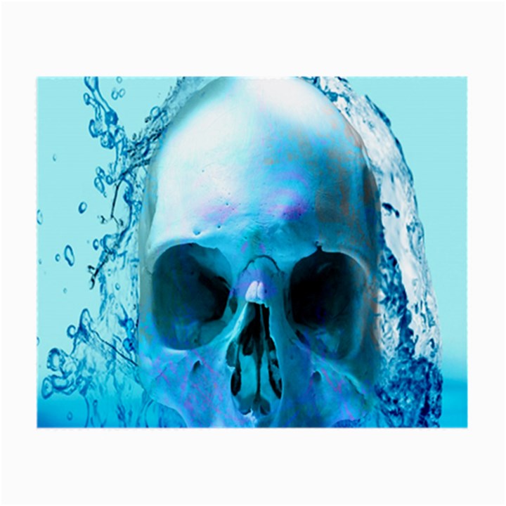 Skull In Water Glasses Cloth (Small)