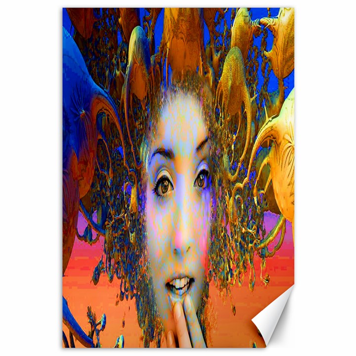 Organic Medusa Canvas 12  x 18  (Unframed)