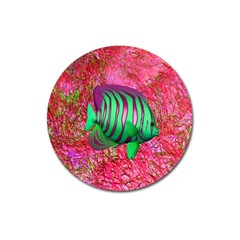 Fish Magnet 3  (round) by icarusismartdesigns