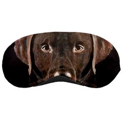 Chocolate Lab Sleeping Mask by LabsandRetrievers