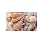 Sea Shells Sticker 100 Pack (Rectangle) Front