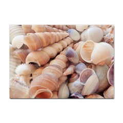 Sea Shells A4 Sticker 100 Pack by yoursparklingshop