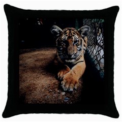 Photo  Black Throw Pillow Case by things9things