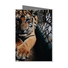 Photo  Mini Greeting Card (8 Pack) by things9things