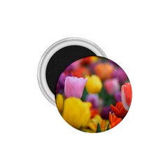 Flower 1 75  Button Magnet by habiba4true