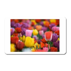 Flower Magnet (rectangular) by habiba4true