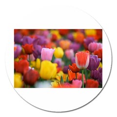 Flower Magnet 5  (round) by habiba4true