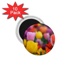 Flower 1 75  Button Magnet (10 Pack) by habiba4true