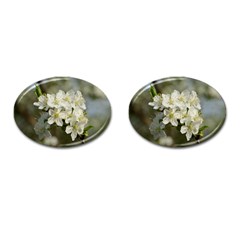 Spring Flowers Cufflinks (oval) by anstey