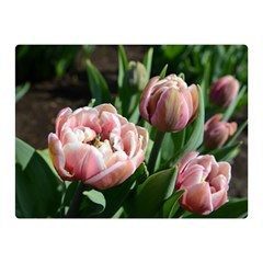 Tulips Double Sided Flano Blanket (mini) by anstey