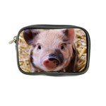 Sweet Piglet Coin Purse Front