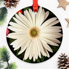 Daisyc Ornament (round)  by infloence