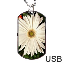 Daisyc Dog Tag Usb Flash (one Side) by infloence