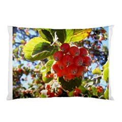 Rowan Pillow Cases (two Sides) by infloence