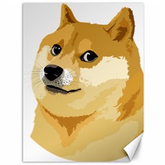 Dogecoin Canvas 36  X 48   by dogestore