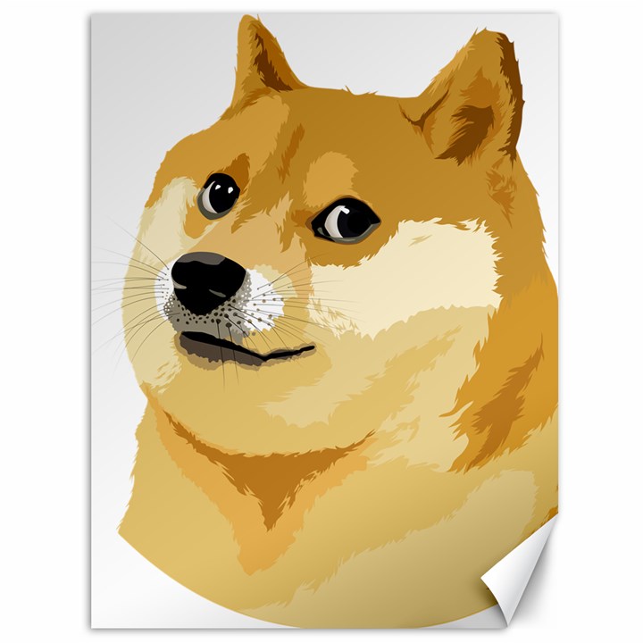 Dogecoin Canvas 36  x 48  