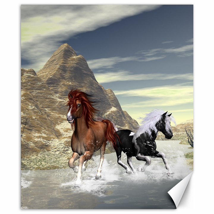 Beautiful Horses Running In A River Canvas 8  x 10 