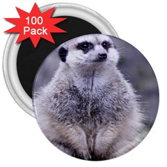 Adorable Meerkat 03 3  Magnets (100 Pack) by ImpressiveMoments