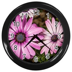 Beautiful Colourful African Daisies  Wall Clocks (black) by OZMedia