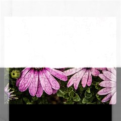 Beautiful Colourful African Daisies  Rectangular Jigsaw Puzzl by OZMedia