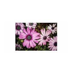 Beautiful Colourful African Daisies  Satin Wrap by OZMedia