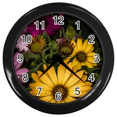 Beautiful Colourful African Daisies  Wall Clocks (black) by OZMedia