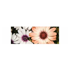 Beautiful Colourful African Daisies Satin Scarf (oblong) by OZMedia