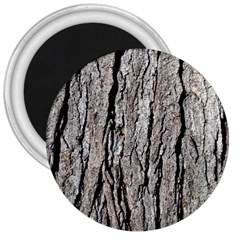 Tree Bark 3  Magnets by trendistuff