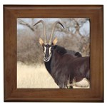 Sable Framed Tile