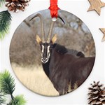 Sable Ornament (Round)