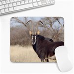 Sable Large Mousepad