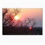 Namibian Sunrise Postcard 5  x 7 