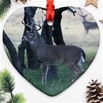 Texas Whitetail Ornament (Heart)